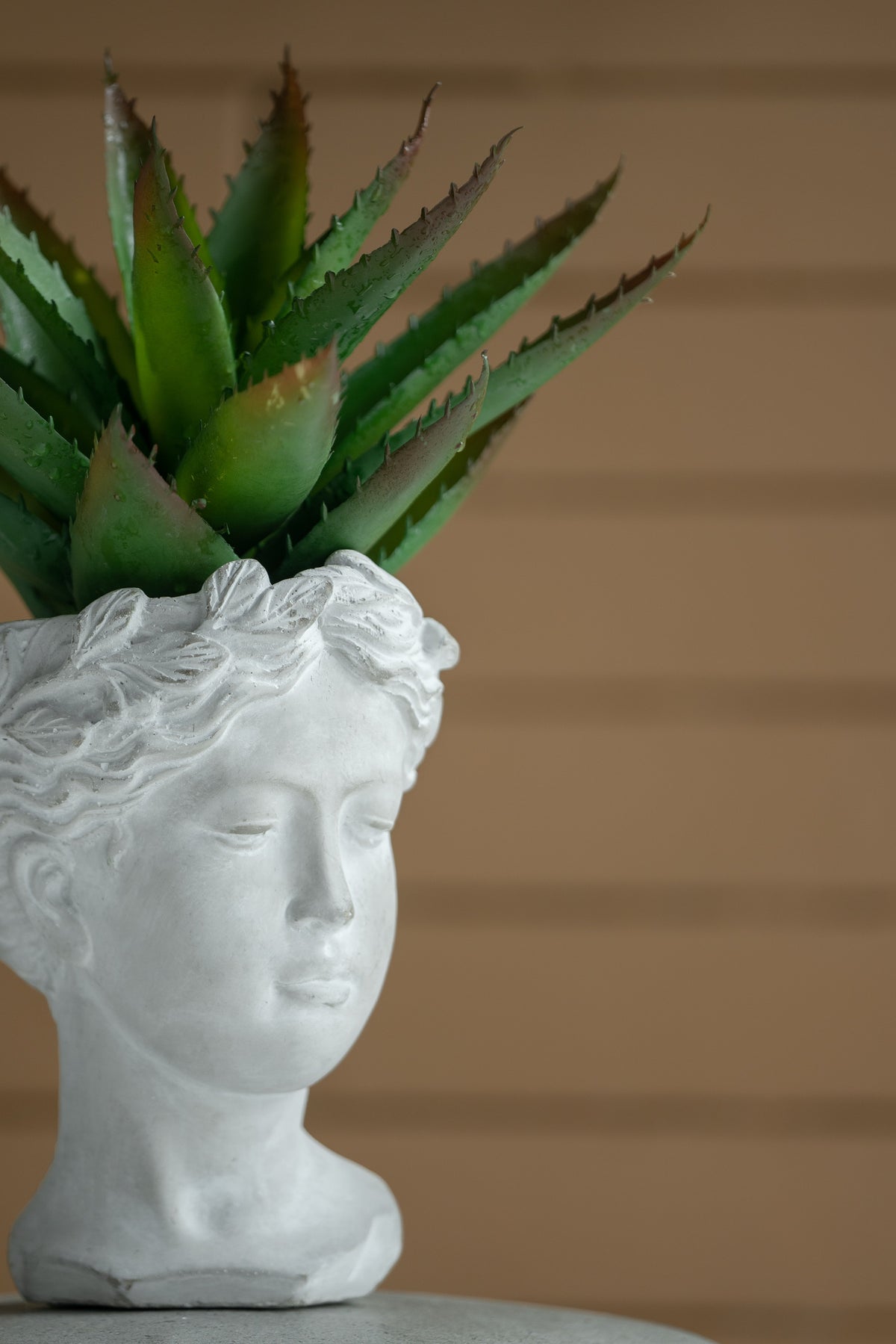 Greek Style Cement Head Planter