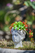 Greek Style Cement Head Planter