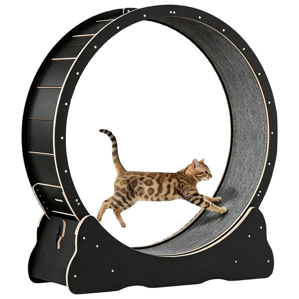 Large Cat Treadmill for Indoor Pets with Quiet Operation - MDF
