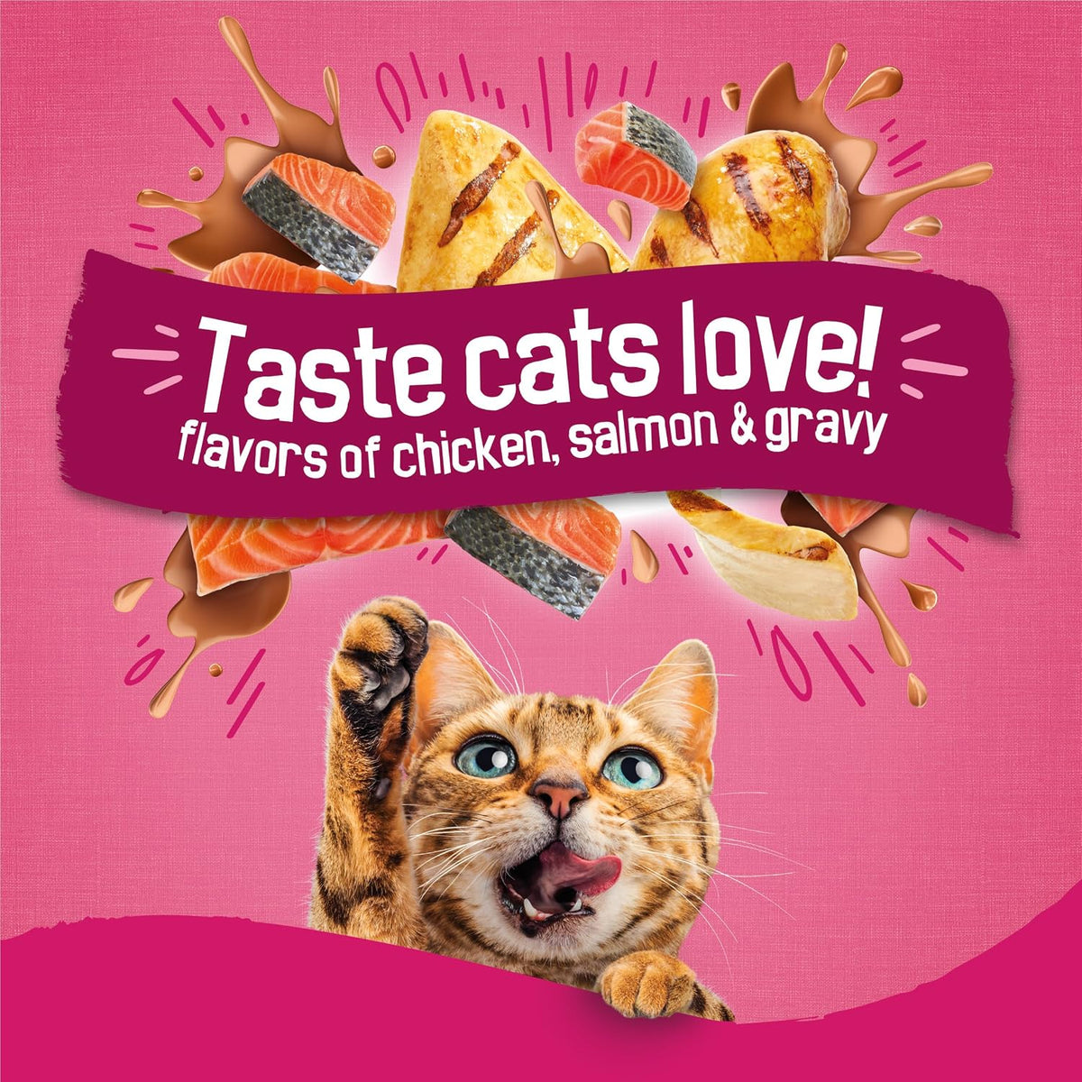 Friskies Purina Gravy Swirlers Dry Cat Food, Chicken & Salmon, 22 lb Bag