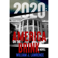 2020: America on the Brink-A Novel - Paperback