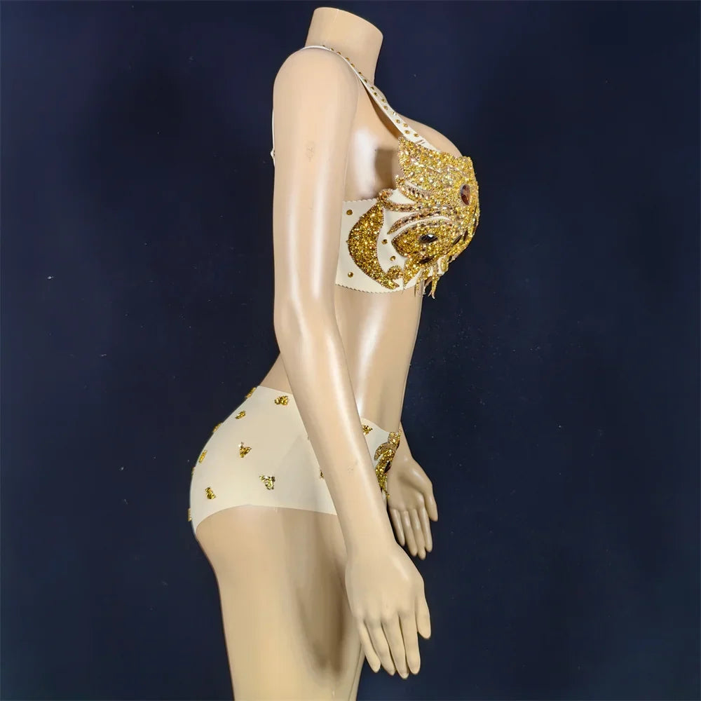 Sexy Golden Rhinestone Bikini Set – Women's Pole Dance, GoGo & Nightclub Stage Costume