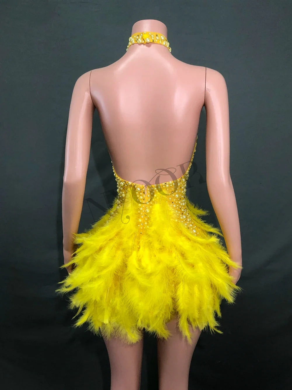 Women's Showgirl Stage Wear Costume | Performance Outfit