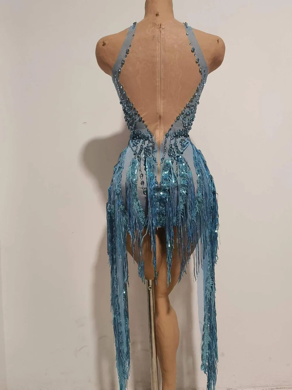 Sparkly Rhinestone Sequin Tassel Dress – Women's Sexy Birthday, Stage & Dance Performance Costume