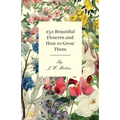 250 Beautiful Flowers and How to Grow Them - Paperback