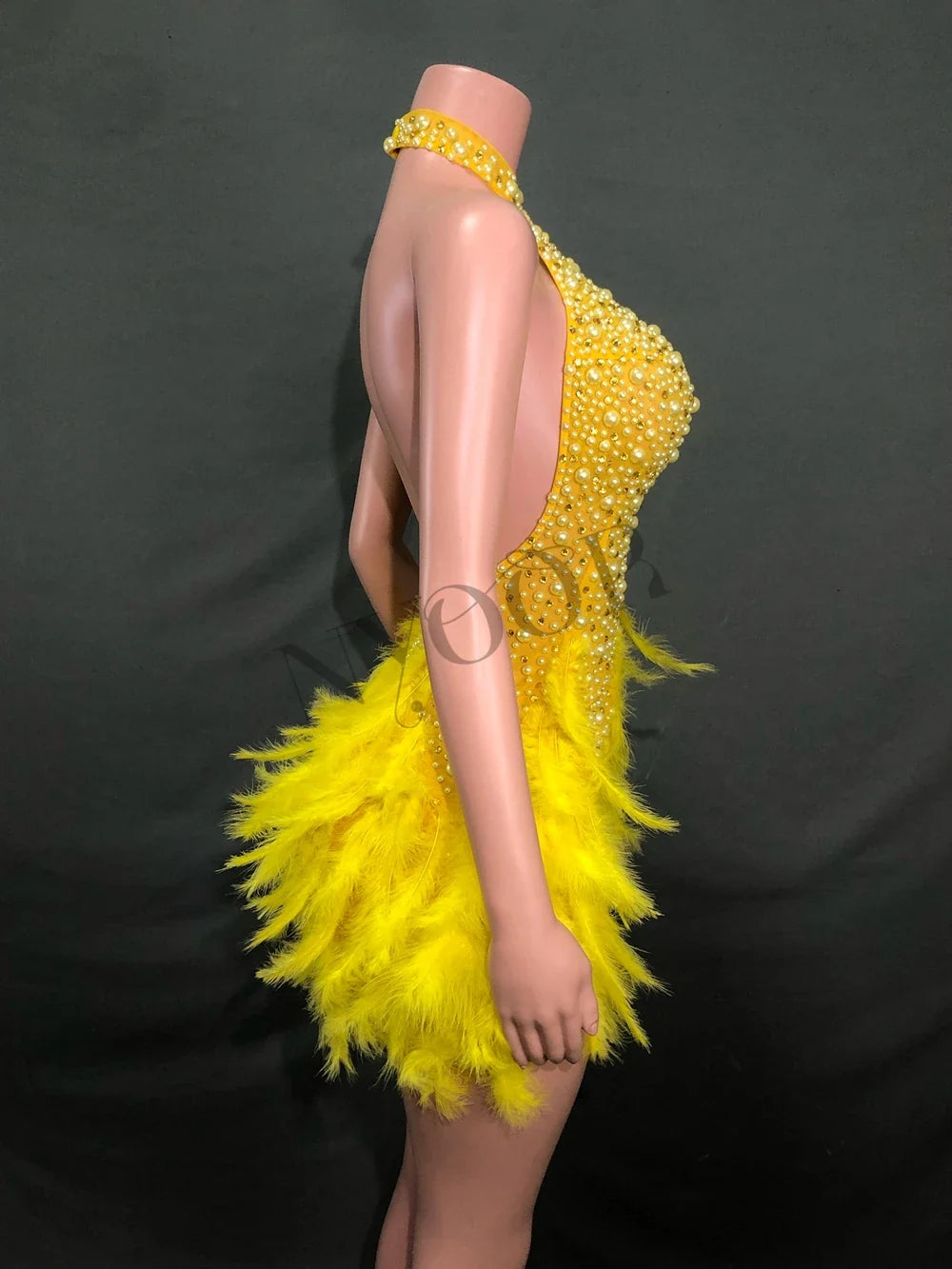 Women's Showgirl Stage Wear Costume | Performance Outfit
