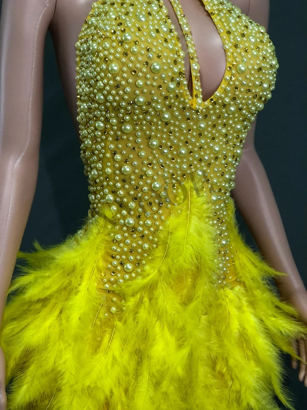 Women's Showgirl Stage Wear Costume | Performance Outfit