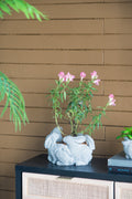 5 Bunny Cement Planter