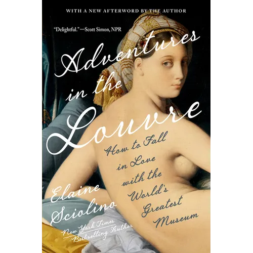 Adventures in the Louvre: How to Fall in Love with the World's Greatest Museum - Paperback