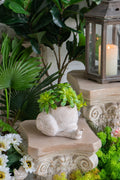 9.5" x 8.3" x 6" Decorative Planter