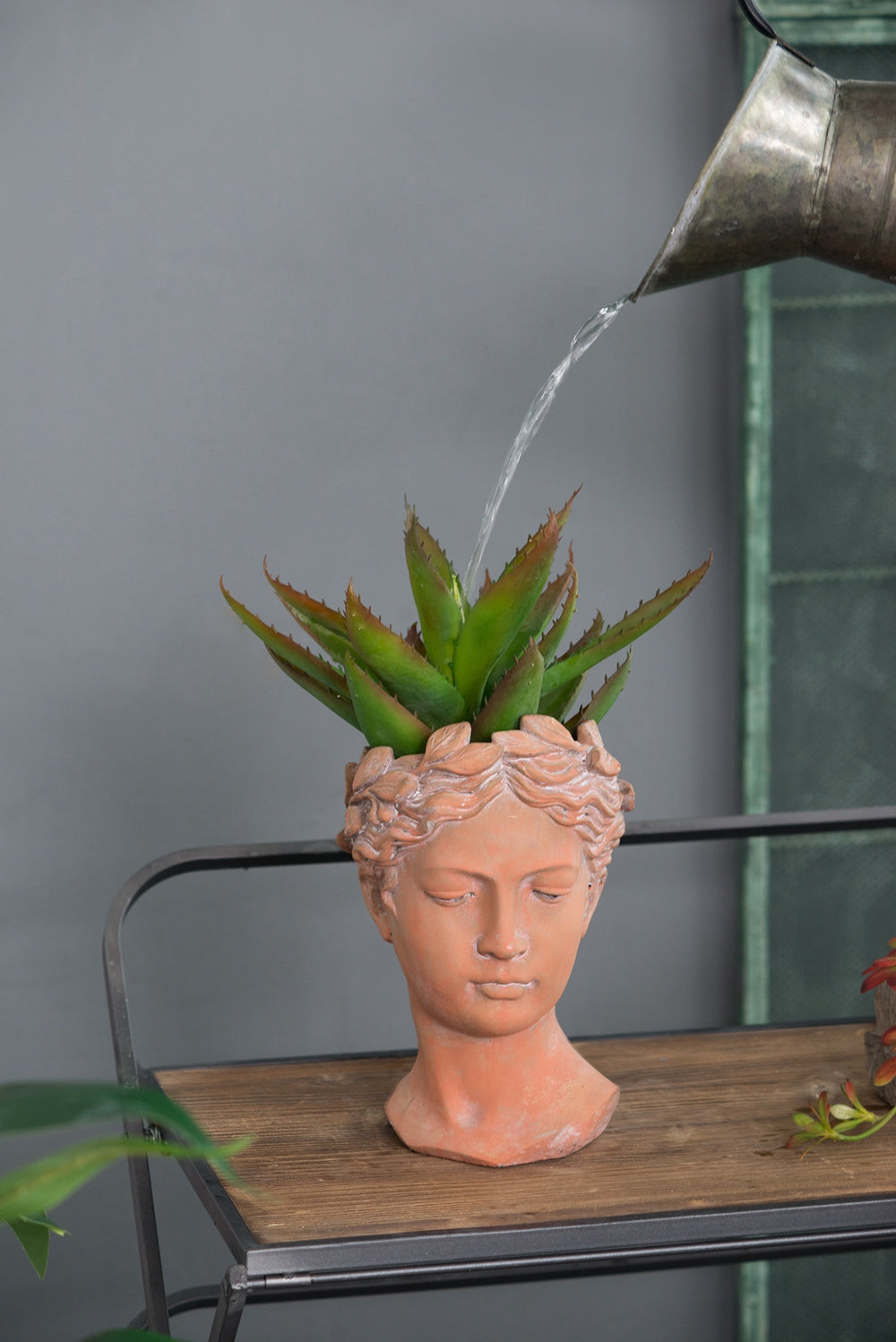 D7x11" Visage Head Bust Planter