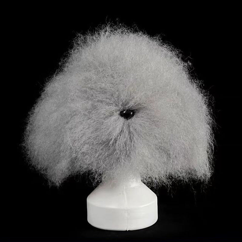 Professional Dog Grooming Training Head | Beginner Pet Styling & Fur Practice Model
