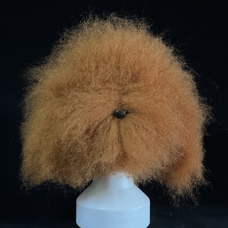 Professional Dog Grooming Training Head | Beginner Pet Styling & Fur Practice Model
