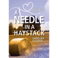 A Needle in a Haystack: How to Find Love in the Rubble - Hardcover
